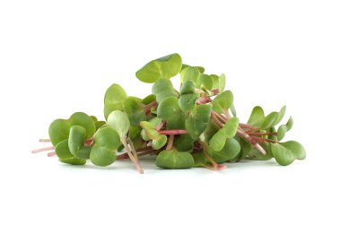 Turp mikroçerezleri salatalar, sandviçler ve diğer yemekler için besleyici ve lezzetlidir, acı bir tat ve canlı bir renk sunar.