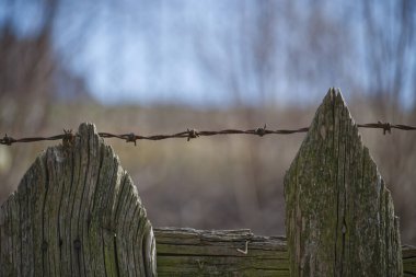 Çit, çerçeve boyunca uzanan ahşap direkler ve dikenli tellerden yapılmıştır.