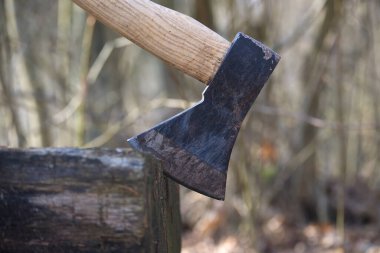 Balta, ahşap bir bloğa sıkışmış ve arka planda bulanıklık yaratıyor. Bu da yakın zamanda ya da daha önce odun kesmekte kullanıldığını gösteriyor..