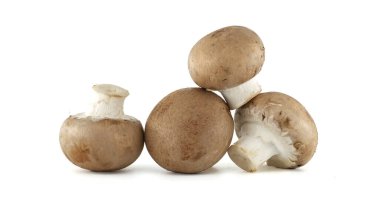 Dört kahverengi mantar yığını parlak beyaz bir arka plana karşı sergileniyor, en sevdiğiniz yemeklerde aşçılık kullanımına hazır..