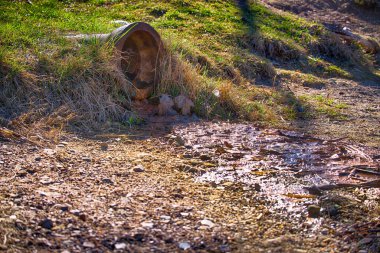 Eski bir beton drenaj borusu çimenlerin ve taşların arasında, içinden su akan küçük bir derenin içinde duruyor..