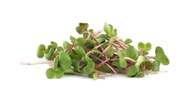 Turp mikroyeşillikleri yemyeşil yapraklar ve pembe saplar sergiliyor. Sağlıklı salatalar ve süslemeler için ideal. Bu filizler taze, taze bir doku ve hafif, acı bir tat sunuyor.