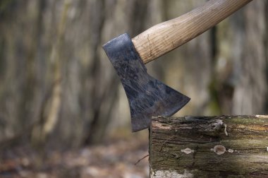 Yıpranmış bir kütüğe saplanmış bir baltayı, bulanık bir orman arka planına sahip baltanın keskinliğini ve kütüğün dokusunu vurguluyor..