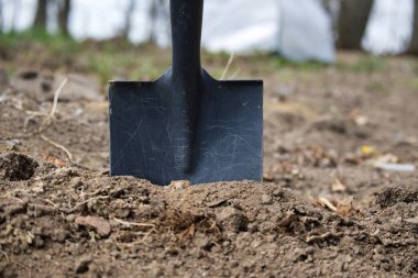 Toprağa gömülü çelik kürek bıçağının detaylı bir görüntüsü. Bahçe işleri, kazılar ya da tarımsal bağlamlar için uygun. Taze toprak ve doğal çevre, açık hava görevlerinin görüntülerini vurgular