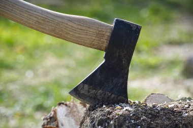 Tahta saplı ağaç kütüğüne saplanmış bir baltayı yakından çek. Arka planda ağaçların arasından süzülen yeşillik ve güneş ışığı izleri var..