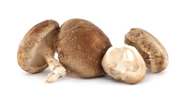Bir grup taze Shiitake mantarı dokularını, renklerini ve doğal özelliklerini sergiliyor. Bu mantarlar yemek pişirmek için idealdir ve vejetaryen yemeklerde ve yemeklerde hayati önem taşır..