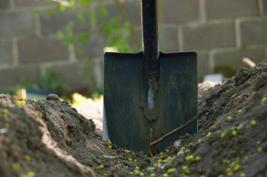 Yakın zamanda kazılmış bir çukurda dikilmeye hazır bir kürek duruyor. Karanlık toprak verimli, gelişen bir bahçe yetiştirmek için ideal..