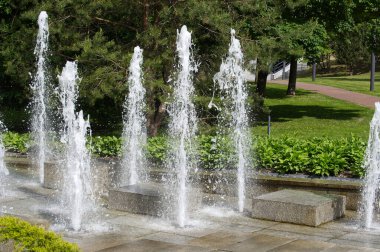 Huzurlu bir şehir parkında yemyeşil sularla çevrili modern bir fıskiyeden canlı su akıntıları yükseliyor. Huzur ve dinlenmek ve dinlenmek için mükemmel bir ortam..