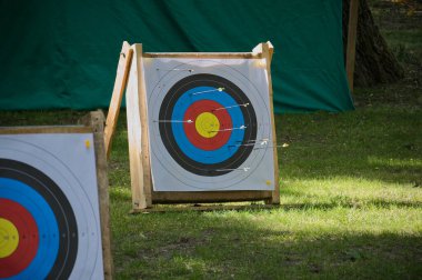 Açık havada okçuluk pratiği, doğayla ve çimenlerle çevrili renkli hedef tahtası ve oklarla ahşap bir hedef tahtasını gözler önüne seriyor..