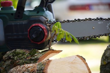 Yeni filizlenen bir ağaç gövdesinin yanında duran elektrikli testere, doğadaki yaşam ve ölüm döngüsünü gösteriyor..