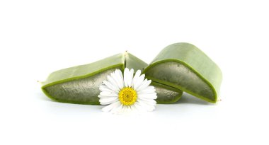 Yüksek kaliteli aloe vera dilimlerine eşlik eden papatya çiçeği doğal güzelliği ve cilt bakımının nazik organik bileşenlerini sergiliyor..