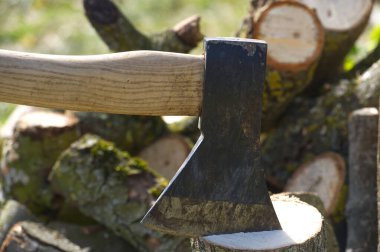Yakın plan çekimde tahta kütüğün üzerinde duran keskin bir balta görülüyor. Arka planda tahta kütükler ile aletin bıçağını ve sapını gösteriyor..