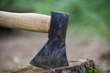 Kırsal balta başı, doğal bir arka planı olan bir ağaç kütüğüne saplanmış. Ormancılık, ahşap işçiliği ve dayanıklılığı simgeliyor. Ayrıntılı ahşap sapı ve yıpranmış metal bıçağı dayanıklı cazibeye ekliyor..