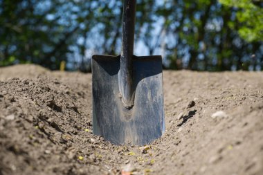 Dayanıklı bir kürek, güneşli bahçeye ekilmeye hazır, yeni dönüştürülmüş toprakta dikilir. Arkaplanı yeşil ağaçlar sağlıyor.