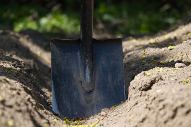 Yakın plan çekimde, yeni kazılmış bir hendekte, ekime ya da bahçe işlerine hazır bir kürek ortaya çıktı..