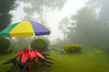 Mountain Offbeat Village 'da sisli hava. Doğu Sikkim' de Akciğerler, Yeşil Çimen ve Sandalye Masası.