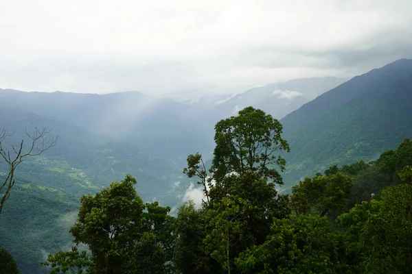 Зелений Ліс Гірському Хребті Сіккім — стокове фото