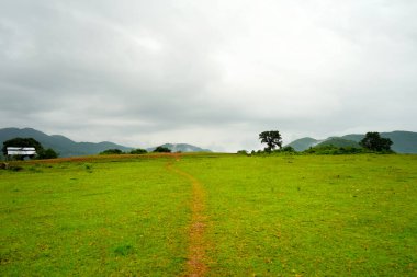 Green Field Valley in Daringbadi Mountain of Odisha clipart