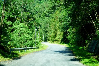 Himalaya Kuzey Bengal Yolu Yeşil Doğa 3 ile