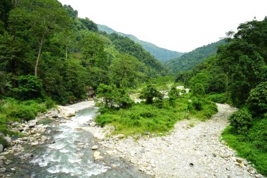 Kuzey Bengal 'in Dağ Nehri Yeşillik manzaralı