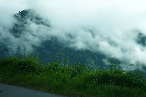 stock image Road and Greenery Nature of Himalayan Range Village 6