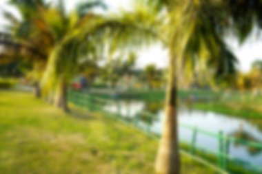 Kolkata Eco Park 'ın Bulanık Arkaplanı