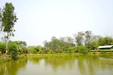 Köy Göletinin Güzel Manzarası
