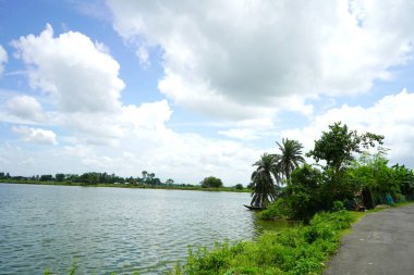 Bengal 'in Kharibari Rajarhat, Kolkata' daki manzara güzelliği