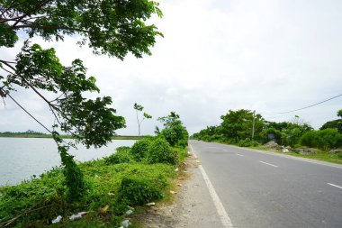 Road side wetland at Kharibari towards Rajarhat Kolkata clipart