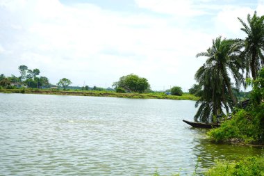 Doğanın Güzelliği Kharibari, Kolkata, Batı Bengal