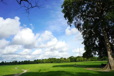 Gündüz vakti güneşli havada Kolkata Meydan 'ı