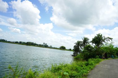 Batı Bengal manzaralı Bataklık manzaralı Kharibari Kolkata