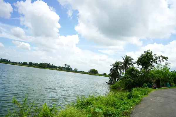 Batı Bengal manzaralı Bataklık manzaralı Kharibari Kolkata