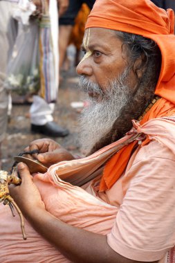 14th October 2023, Babughat, Kolkata, West Bengal, India. Close up Profile Portrait of Indian Sadhu in Saffron Robes with Religious Tilak