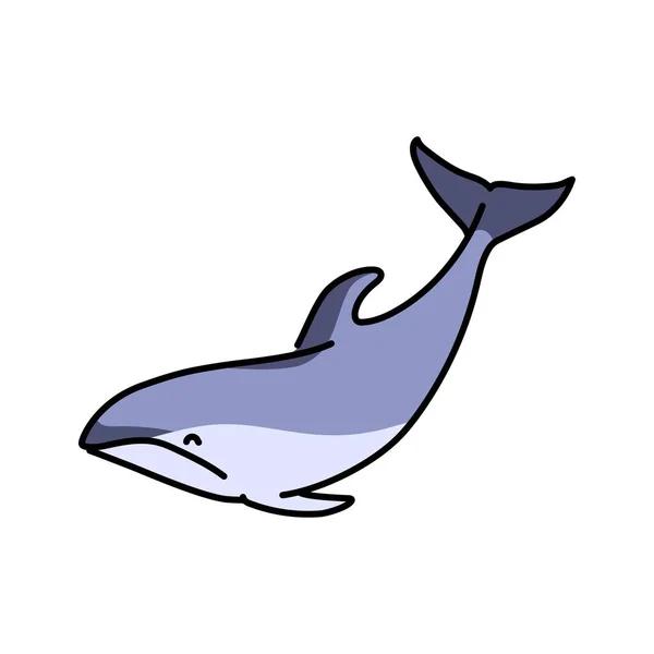 Dolphin Color Line Illustration Marine Mammals — Stock Vector