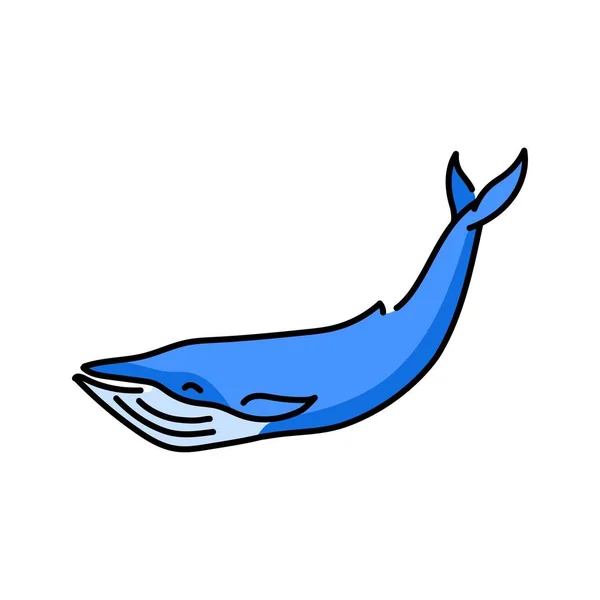Blue Whale Color Line Illustration Marine Mammals — Stock Vector