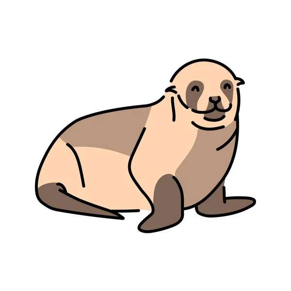 Seal Color Line Illustration Marine Mammals — Stock Vector