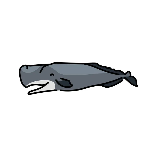 キャシャロットカラーラインイラスト 海洋哺乳類 — ストックベクタ