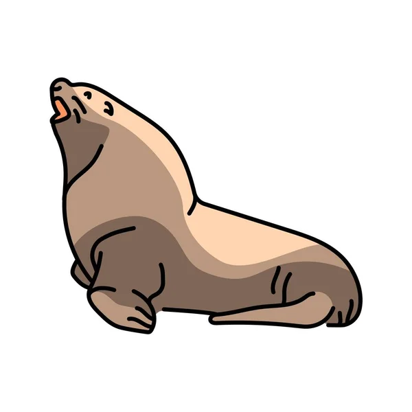Steller Deniz Aslanı Renk Çizgisi Çizimi Deniz Memelileri — Stok Vektör