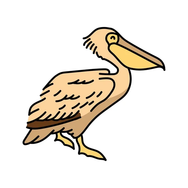 Pelicano Ilustração Linha Cores Mamíferos Marinhos —  Vetores de Stock