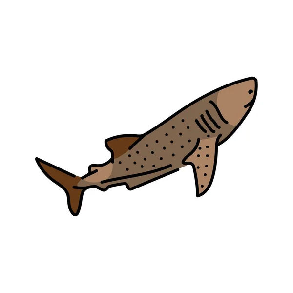 Walvishaai Kleur Lijn Illustratie Zeezoogdieren — Stockvector