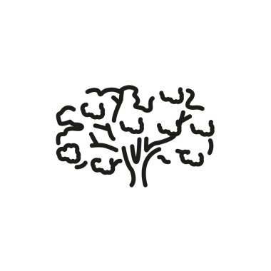 Sakura tree color line icon. Pictogram for web page, mobile app, promo.