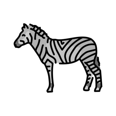 Zebra renk çizgisi çizimi. Afrika Hayvanları