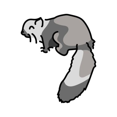 Avustralyalı uçan sincap renk çizgisi çizimi. Avustralya Hayvanları.