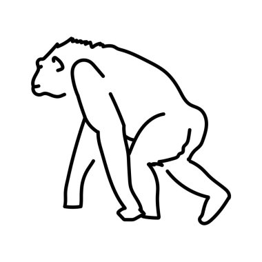 Şempanze renk çizgisi çizimi. Afrika Hayvanları