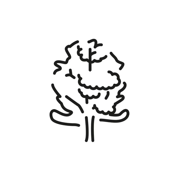 Alder Tree Color Line Icon Pictogram Web Page Mobile App — Wektor stockowy