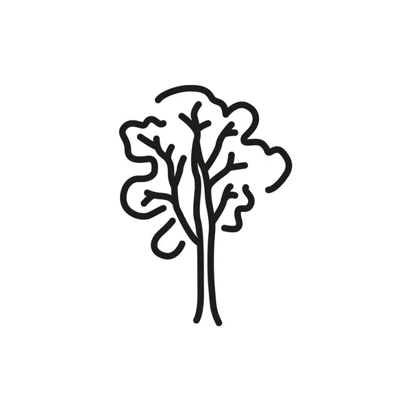 Ash Tree Color Line Icon Pictogram Web Page Mobile App — Archivo Imágenes Vectoriales