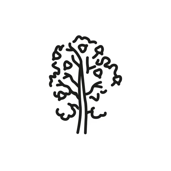 Aspen Tree Color Line Icon Pictogram Web Page Mobile App — стоковый вектор