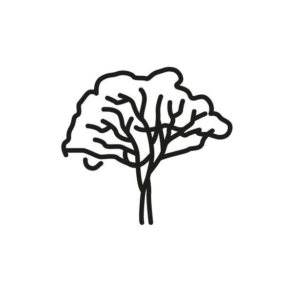 Eucalyptus Tree Color Line Icon Pictogram Web Page Mobile App — стоковый вектор