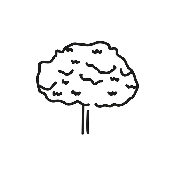Піктограма Кольорової Лінії Кленового Дерева Піктограма Веб Сторінки Мобільного Додатку — стоковий вектор